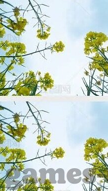 3比0足球比分-3比0，足球场上奏响的胜利强音